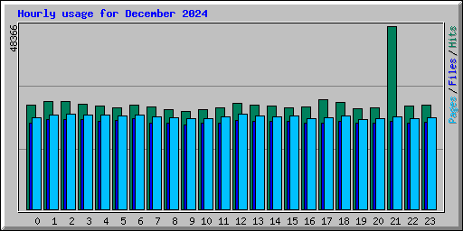 Hourly usage for December 2024