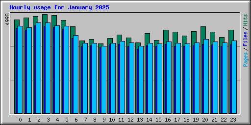 Hourly usage for January 2025